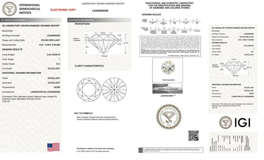 igi full certificate sample