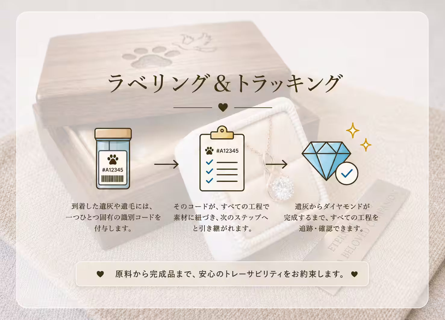 Product packaging with labels and tracking information on a beige background